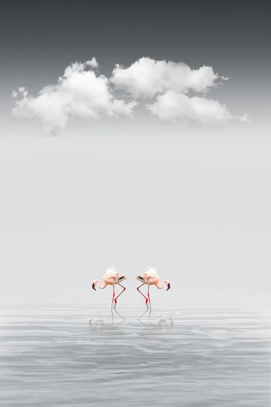 Between Sky and Water