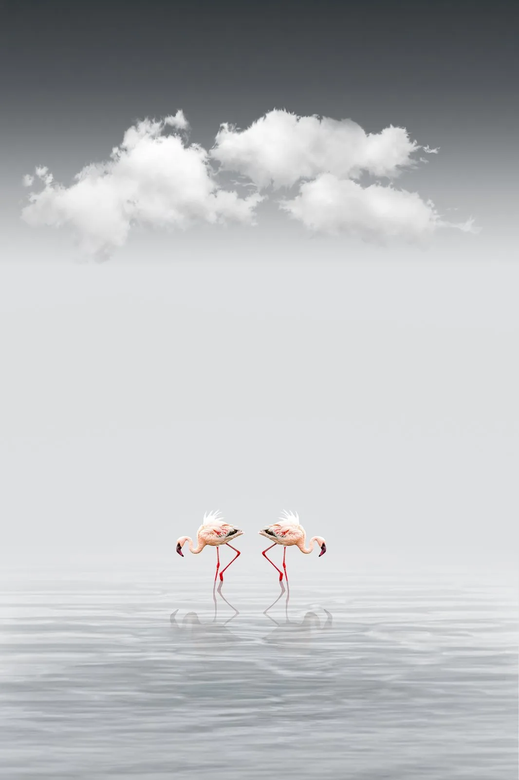Between Sky and Water
