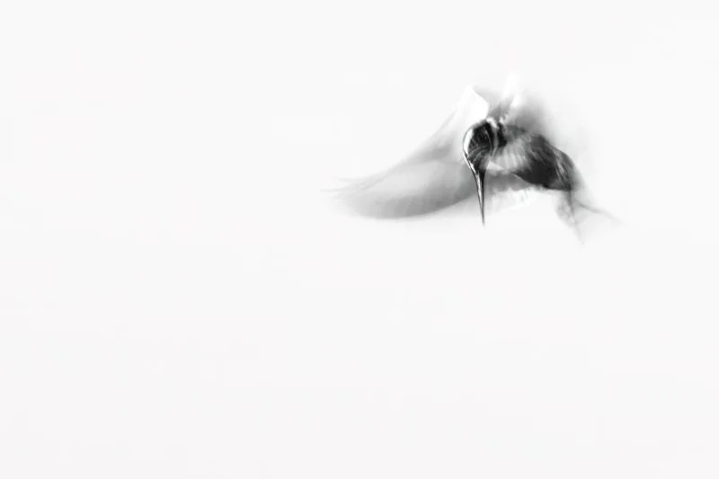 Trace of Flight