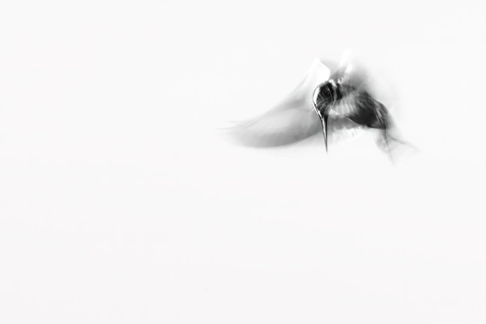 Trace of Flight